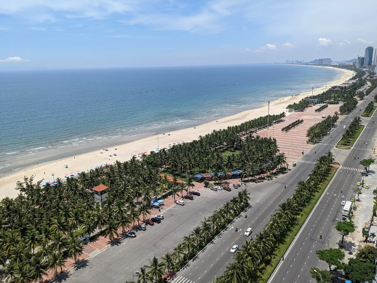 Long sandy beach with palm trees and a coastal road